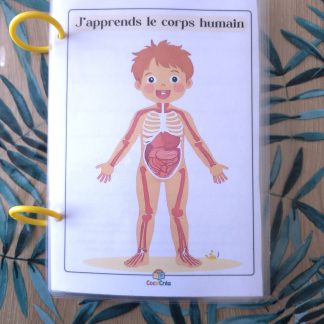 Livret " J'apprend le corps humain "
