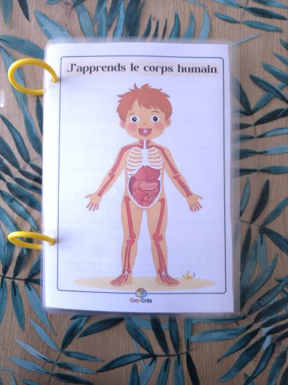 Livret " J'apprend le corps humain "
